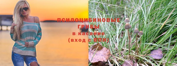 ГАЛЛЮЦИНОГЕННЫЕ ГРИБЫ Волоколамск