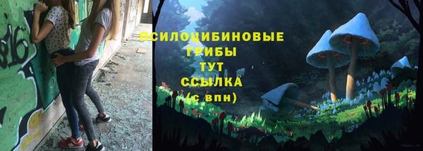 ГАЛЛЮЦИНОГЕННЫЕ ГРИБЫ Волоколамск